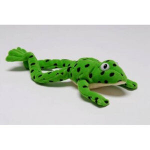 Read Write Inc. Fred the Frog Plush Toy by Ruth Miskin - Educational